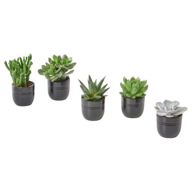 IKEA SUCCULENT (ИКЕА СУККУЛЕНТНЫЙ) 80564444